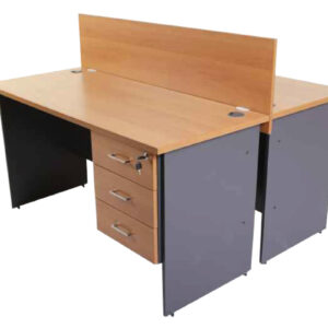 Elegant Series 2 Way Workstation